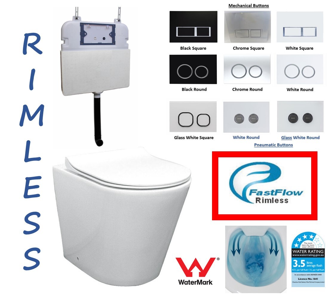 s trap toilet and cistern