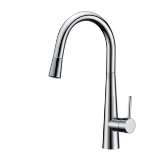 PinTail Design Sink Mixer Pullout Spout Concealed Spout Brass Chrome