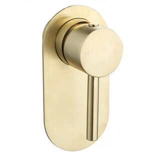 Brushed Gold Brass Lollypop Pintail Lever Shower Mixer Bath Mixer Wall Mixer Oval Plate