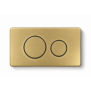 Carysil Gold Round SS304 In Wall Toilet Push Plate