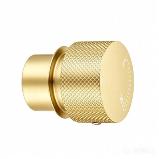 Progressive Light Brushed Brass Handle