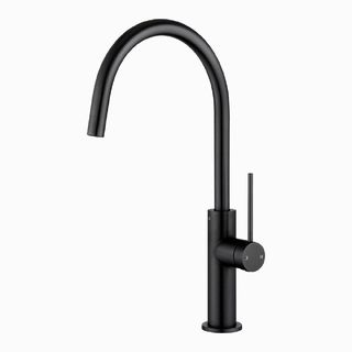 Black Standard Kitchen Mixer