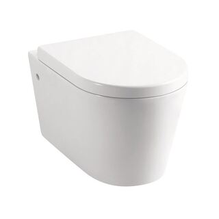 Wall Mount Wall Hung Toilet, Soft Close Seat,In Wall Concealed Cistern WELS4*